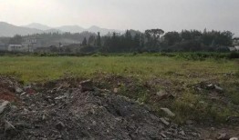 全州咸水乡村爆料事件最新,揭开神秘面纱，探寻真相背后